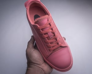 Image of Pank Plebeians