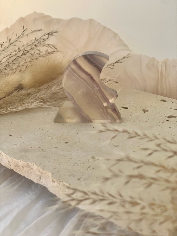 Image of Rainbow Fluorite Crescent Moon Carvings 