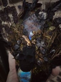 Image 2 of Memento Mori vi 