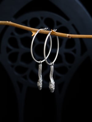 Image of SERPENT HOOPS