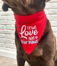 Image 3 of True Love Has Four Paws / I Woof You Reversible Dog Valentines Bandana,
