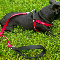 Image 1 of Walking Set