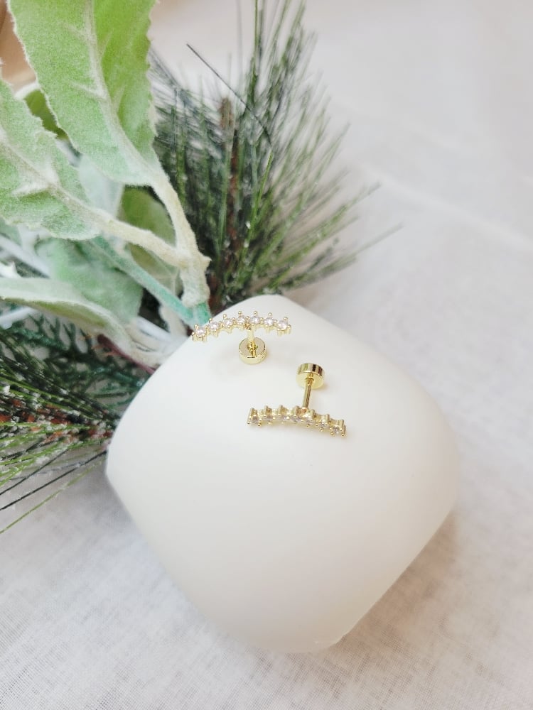 Image of Summer Earrings 