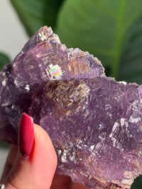 Image 10 of NATURAL RAINBOW IRIDESCENT CUBIC FLUORITE -CHINA- E