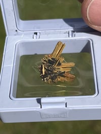 Image 4 of Golden Rutile & Hematite Star Specimen|Brazil #2932