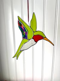 Image 1 of Hummingbirds 