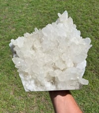 Image 17 of Quartz Points Cluster Statement Display Piece | Brazil #2911