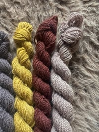 Image 3 of Mini Bundle #1 - 100G Hand Dyed Kent Romney Mini Skeins 