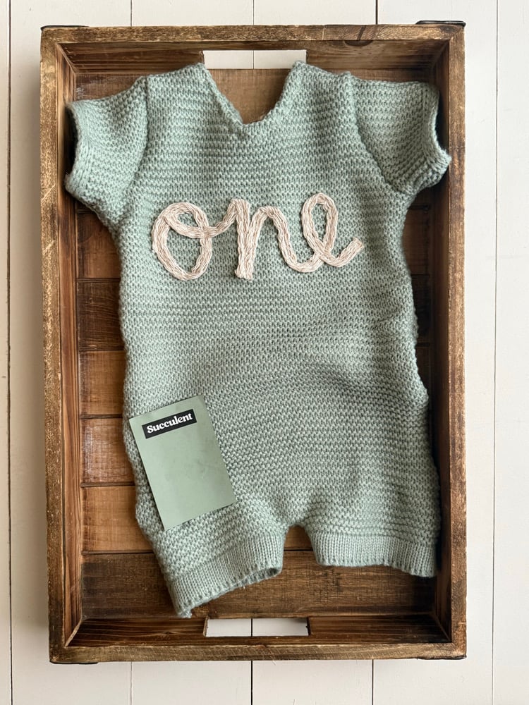 Image of Green “one” romper