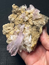 Image 9 of Vera Cruz Amethyst #2531