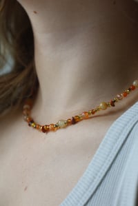 Image 2 of Orange Creamsicle 