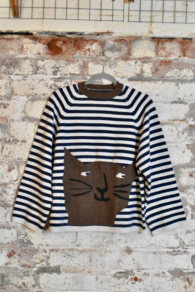 Image of Stripe + cat!