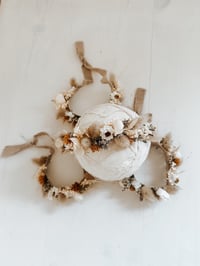 Image 1 of meadow halo