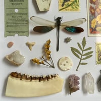 Image 5 of trinket frame #2