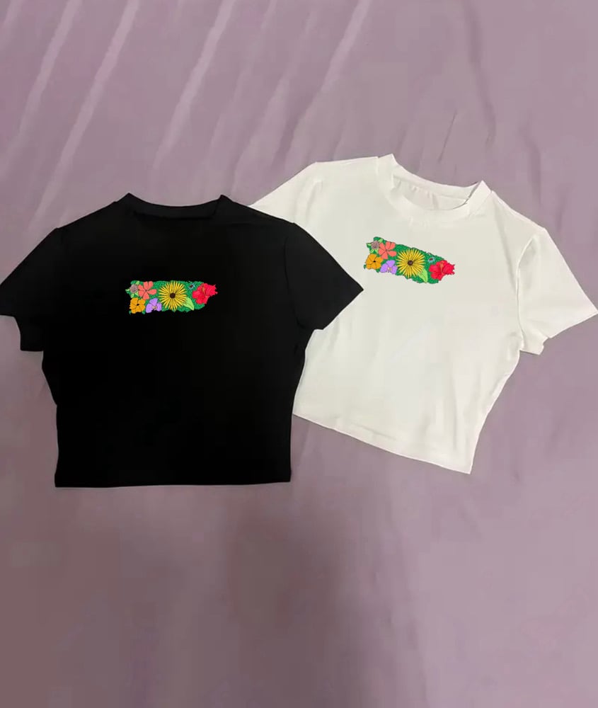 Image of La Isla Crop Top