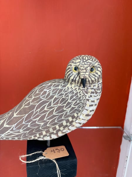 Image of Small brown owl 
