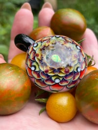 Image 5 of Sweet Sungold