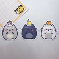 Moon Jun Cats [FULL SET]