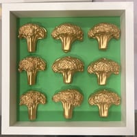Flawless 9 Broccolis 
