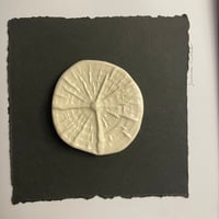 Image 5 of Tree Ring Cards