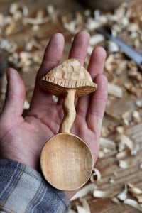 Image 3 of Mushroom Scoop.