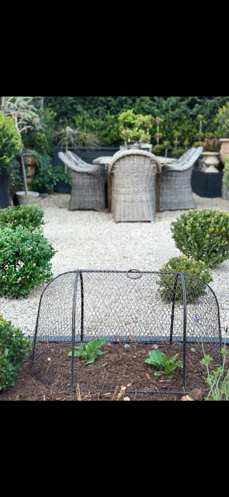 Image of Oval Garden Cloche House