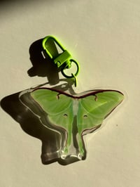 Image 2 of Luna moth keychain