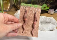 Image 3 of Worm Earrings - Slime and Greg