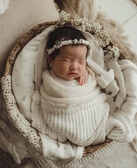 Image 1 of wren halo