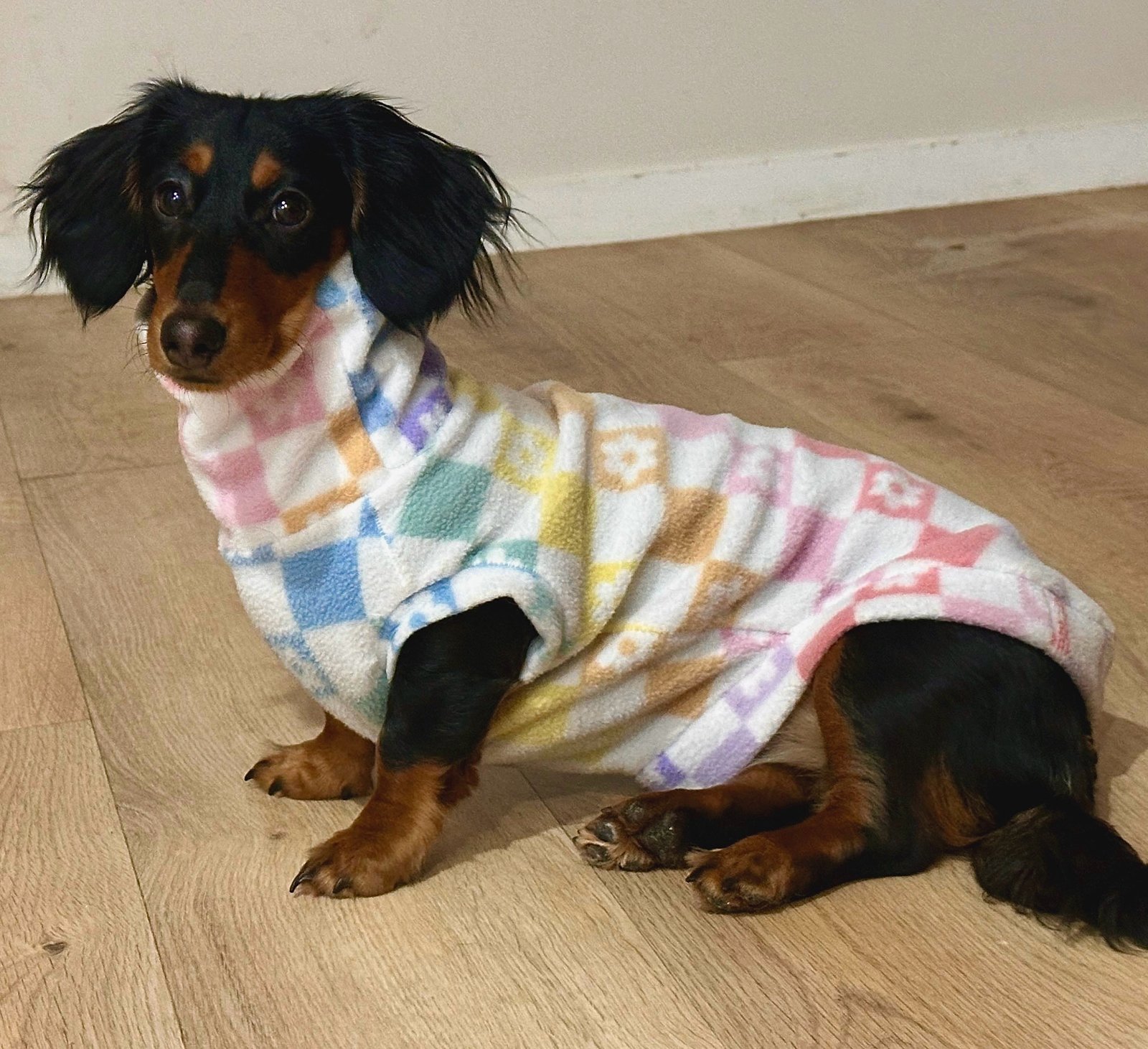 Dachshund Turtleneck Jumper Patterns