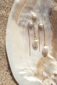 Image 1 of Oyster Glow Earrings 