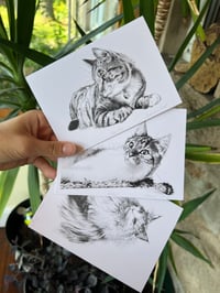 Image 1 of Cat Trio Greeting Card Pack