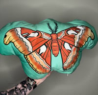 Image 4 of Atlas Moth Plushie