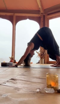 Image 5 of Autumn Sanctuary Session 2026