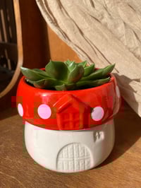 Image 1 of Blue Echeveria in Mushroom Pot