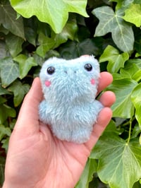 Image 1 of Flaff the Mini Fluffy Frog