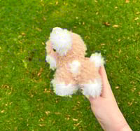 Image 3 of Baby Cow