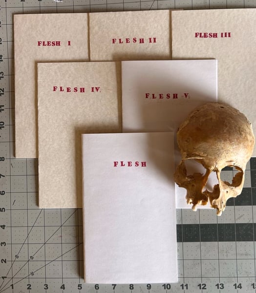 Image of FLESH I - V