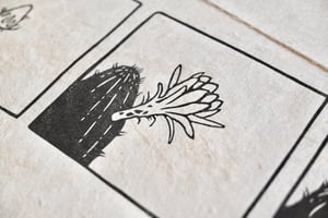 Image of Cactus Bloom