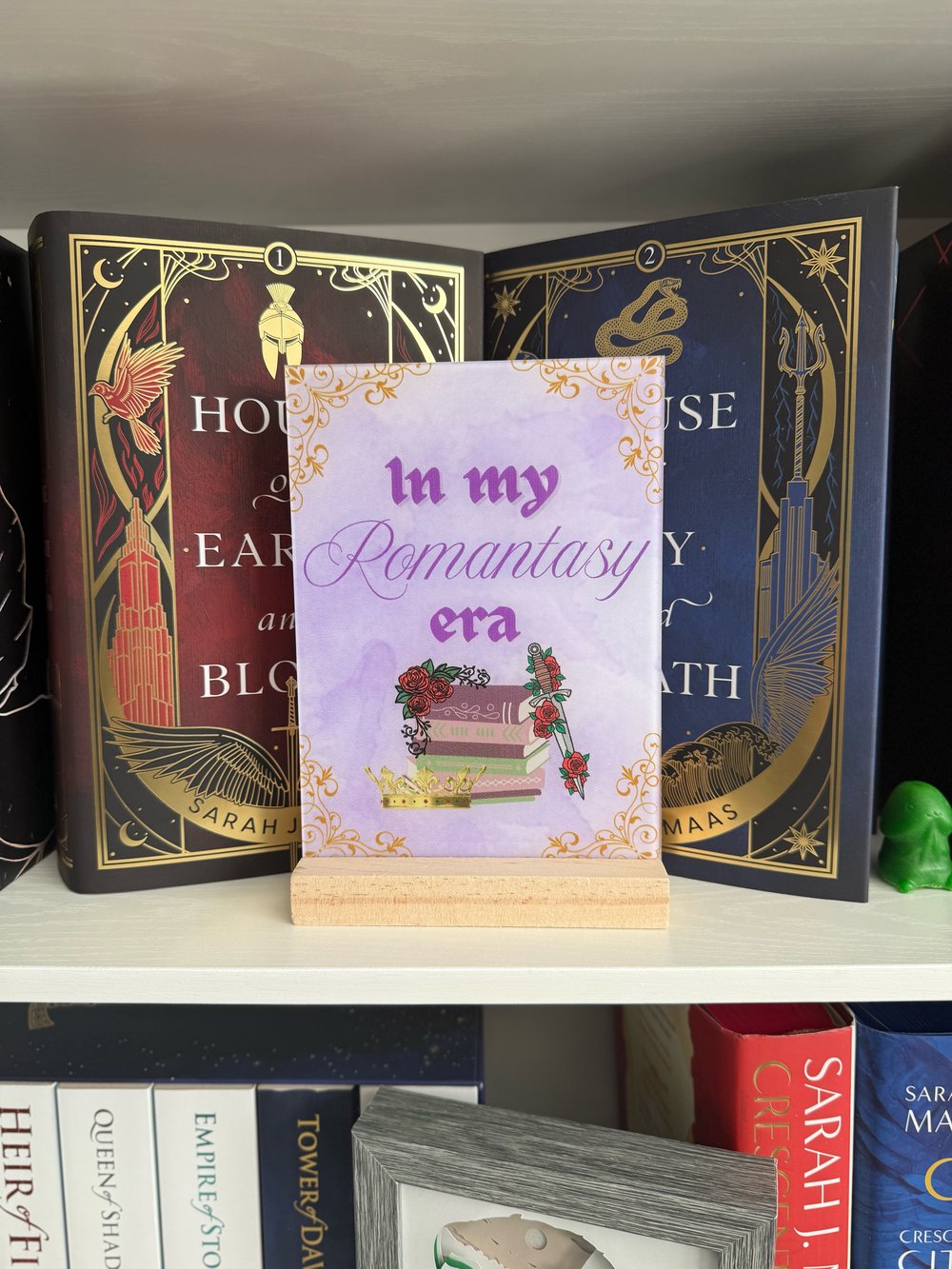 Image of Bookish Shelf Signs