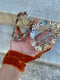 Image of Art Nouveau Ginkgo Brass Sterling Mask