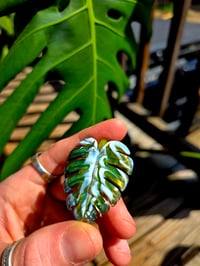 Image 2 of Variegated monstera pendant (uv reactive) 