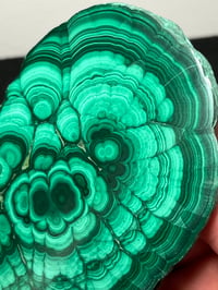 Image 9 of Malachite Polished Specimen | Congo #2820