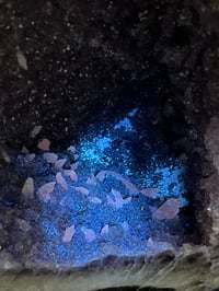 Image 20 of Druzy Amethyst Crystal Geode Cave 31.7kg #49