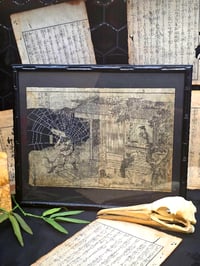 Image 1 of 1800s - Japanese collection with preserved webs. 4