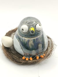 Image 1 of Pigeon 4