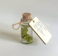 Image 2 of Paint Artefact from Studio - Cadmium Green