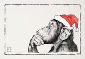Image of Christmas Monkey