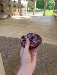 Image 2 of Grotesque Creature: Lone Steaky 