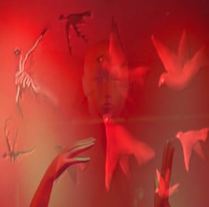 Image of BUCK GOOTER - CONSIDER THE GRACKLES CD